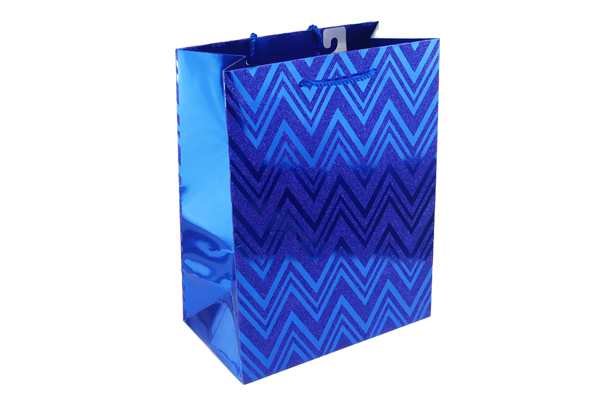 High quality fashion closing shopping bag