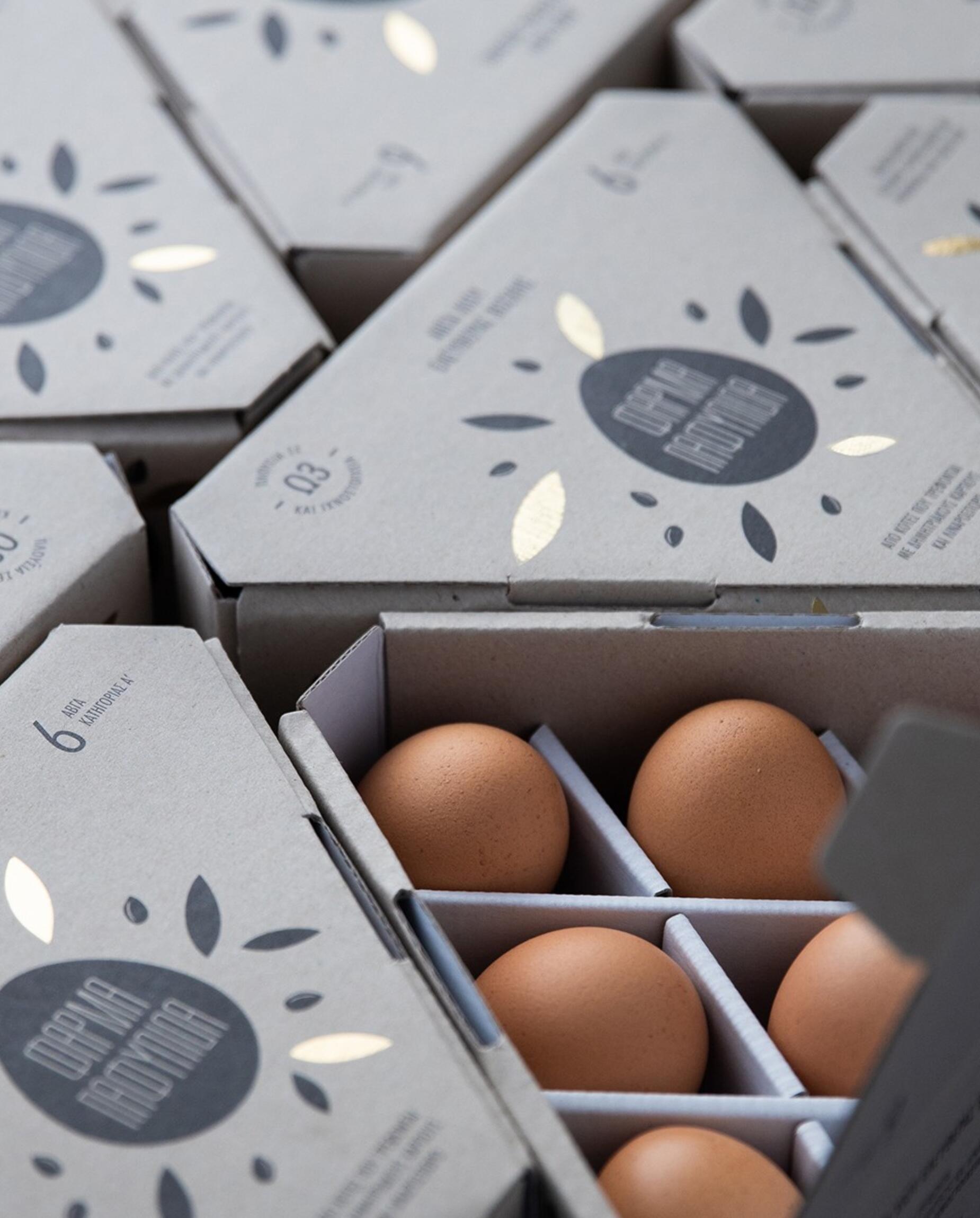 Application of Eco-friendly Materials in Food Packaging Design