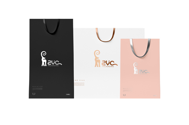 Paper shopping bags for Brochure